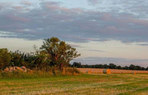 Holiday Home Kranich by Interhome - Foto 29