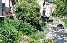 Le marronnier - Foto 7