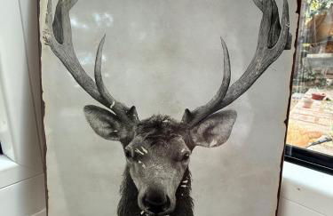 Lakeside-Hideaway - Photo 23