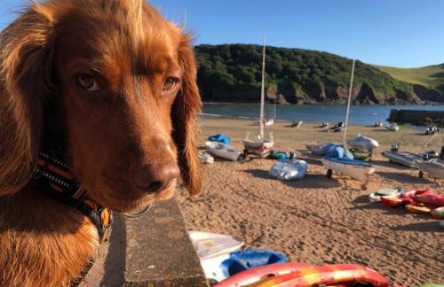 Seascape Hope Cove - Foto 32