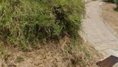 Villa Angelina holidays - Foto 3