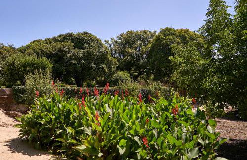 Solar de Vilar Seco - Foto 65