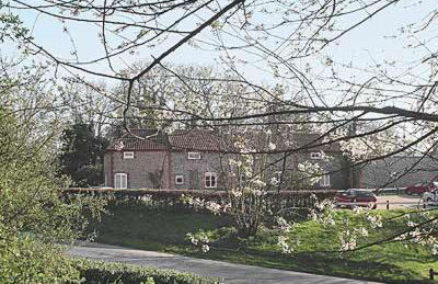 Cobble Stones - Photo 6