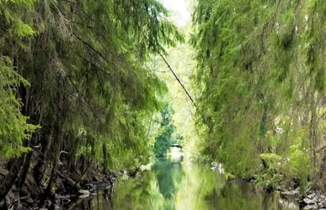 4 Person Holiday Home in Granna-by Traum - Photo 56