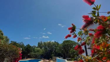 Private Villa ORIONE - Photo 4