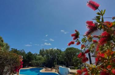 Private Villa ORIONE - Photo 4