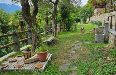 Mid of Nature ' Bella Vista Lago Maggiore charmant mit traumhaften Seeblick, Terrasse und großen Garten - Foto 13