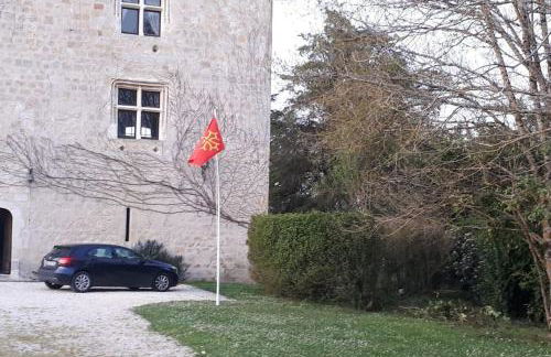 Château Tour du XIII siècle Gazaupouy - Photo 4