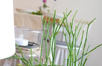 Ferienwohnung am Holdereggenpark - Foto 35