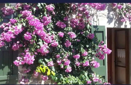 Casa Muslone - Foto 7