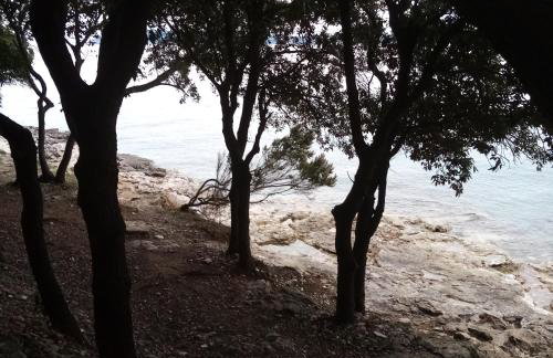 House Nada apartman - Foto 34