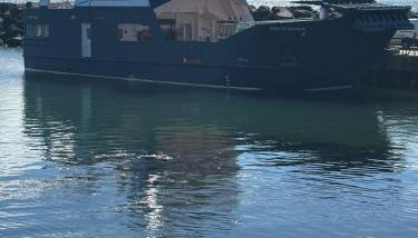 Church Bay House Rathlin - Foto 3