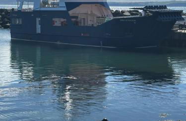 Church Bay House Rathlin - Foto 3