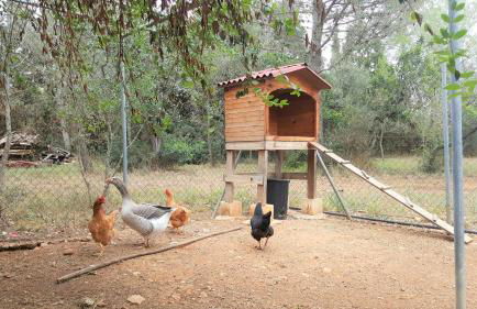 SA ROTA Finca en Bunyola 8 personas- Muy tranquilo - Photo 45