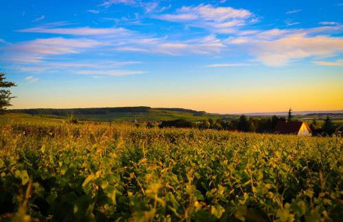 The Sparkling Castle - Foto 41