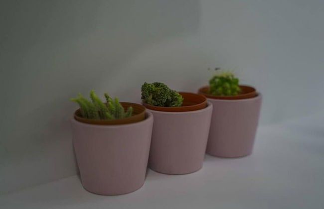 Exclusive Spacious 2 1 Apartment 2 Bathrooms - Core Living - Photo 28