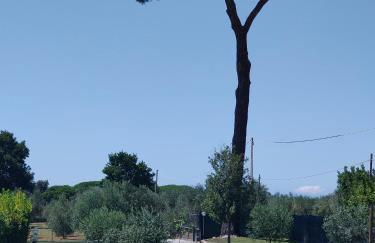 Da Barbara & Simone - Foto 6