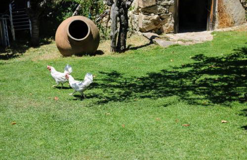 El Pinarejo - Photo 33