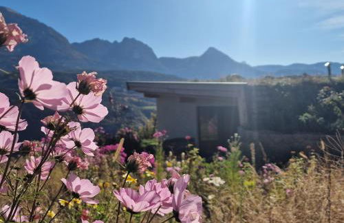 Steidacherhof - Foto 29