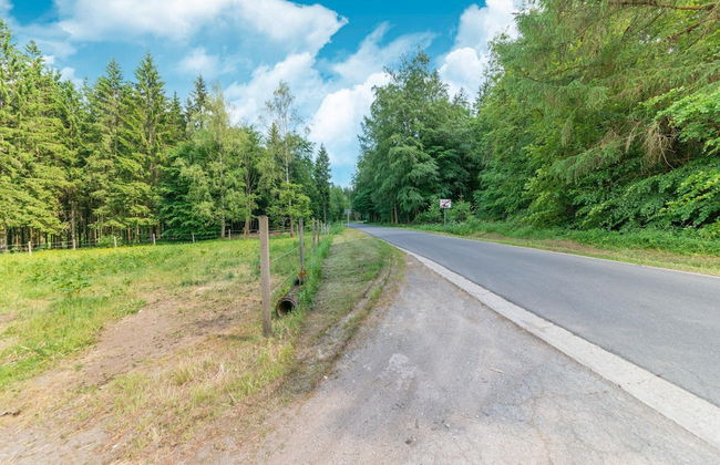 Mansion With Pool & Bar - Photo 35