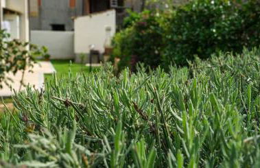 il Castello accomodation tropea - Foto 44