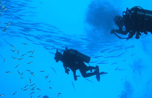 Baptême de plongée à Castro Urdiales - Photo 6