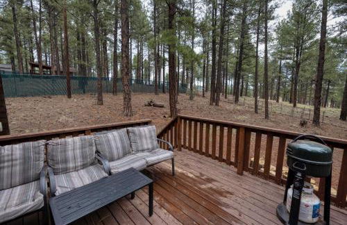 Close to Williams, Flagstaff, Grand Canyon and Sedona - Photo 18