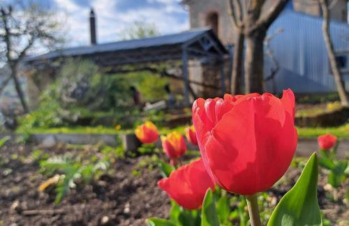 Casadesergio - Photo 74