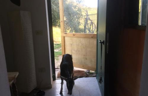 la masseria di Antonio e Teresina - Foto 48