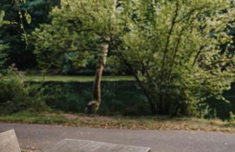 Apartment am Annaweiher - Foto 27