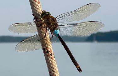 Apartment an der Saarow Therme - Foto 23