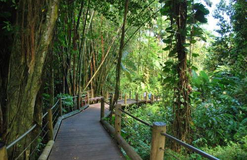 Beach Villas Kahaluu on Kona Coast - Foto 49