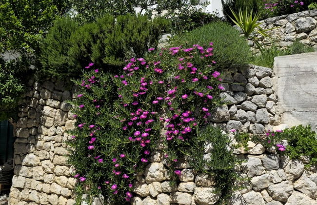 Holiday Home Sunrise - Foto 23