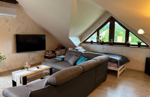 Apartament Natura - Dolina Baryczy - Foto 4