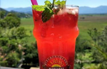 Studio Gamboa - Foto 24