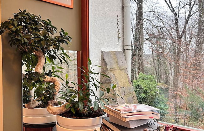 Charming Studio the Heart of the Forest - Foto 5