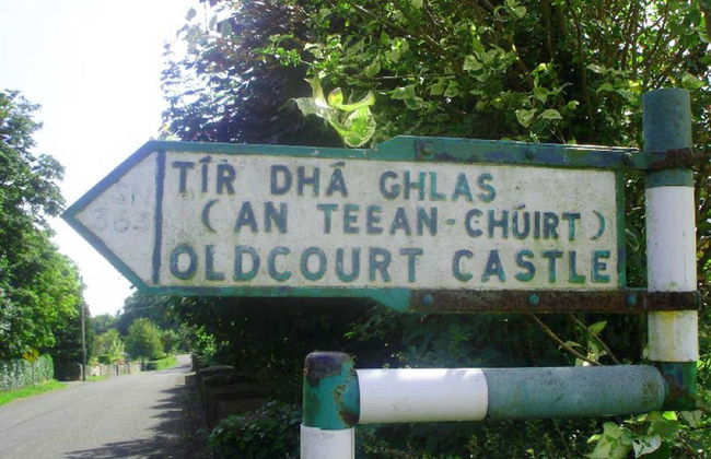 3 bedroom House in Nenagh with garden - Photo 19