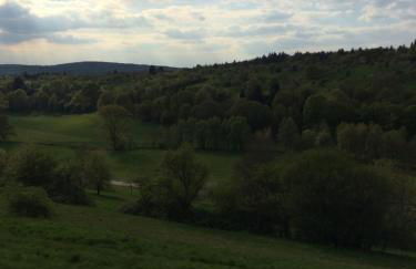 Ferienwohnungen Brack in Gaggenau - Foto 24