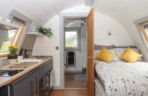 Under Oak Pod - Photo 12