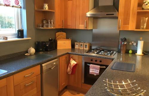 Tyddyn Perthi Farm - Foto 11