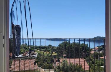 Anita Prižba - Foto 1