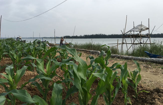 Riverside Hamlet Homestay & Villas - Foto 51