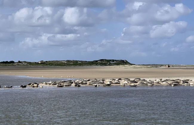 Shell Modern Retreat - Foto 25