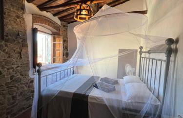 La Cannicciaia - Foto 11