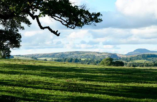 Ingleborough Lodge - Foto 28