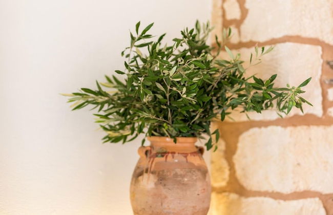 Two Traditional Cretan Houses Near Richtis Gorge - Foto 12