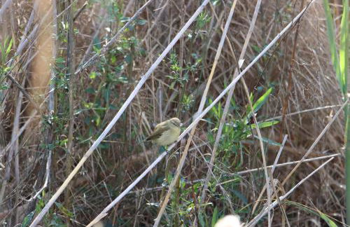 Vista Baglio Grande - Foto 33