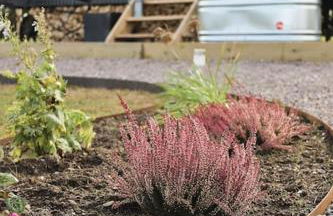 The Winford Retreat - Foto 21