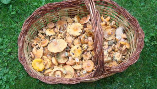 Apartamentos Saila - Foto 2, Other