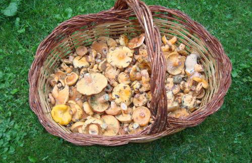 Apartamentos Saila - Foto 2